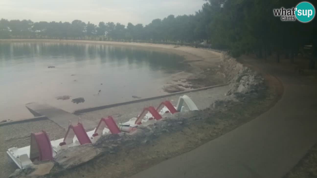 Novigrad – Plaža Karpinjan