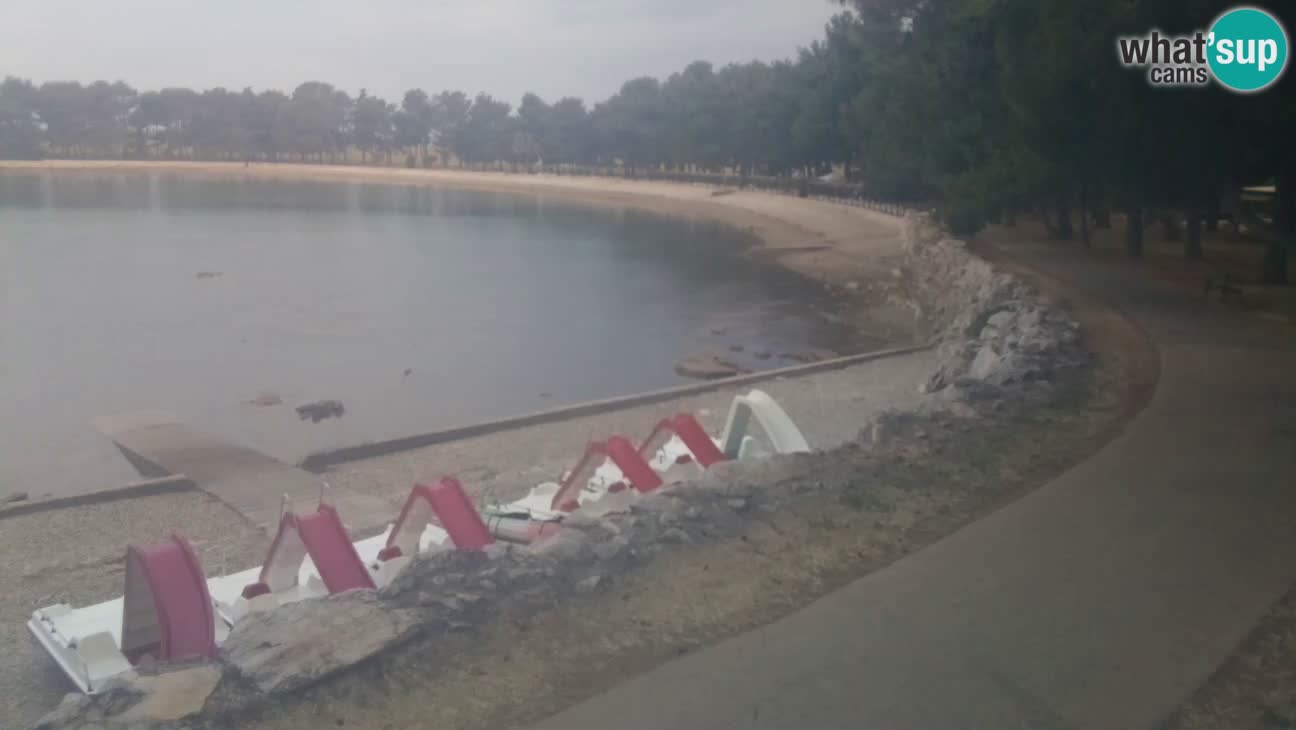 Novigrad live cam – Karpinjan beach