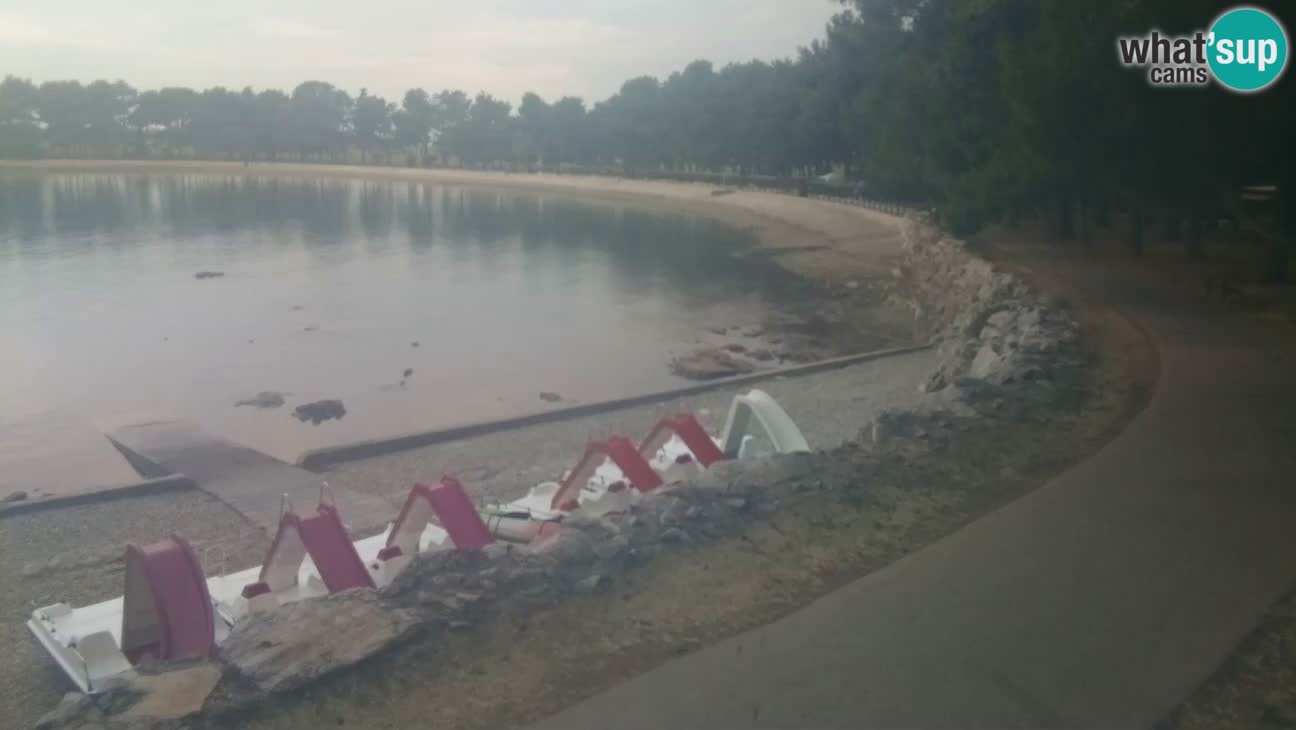 Novigrad – Strand Karpinjan webcam