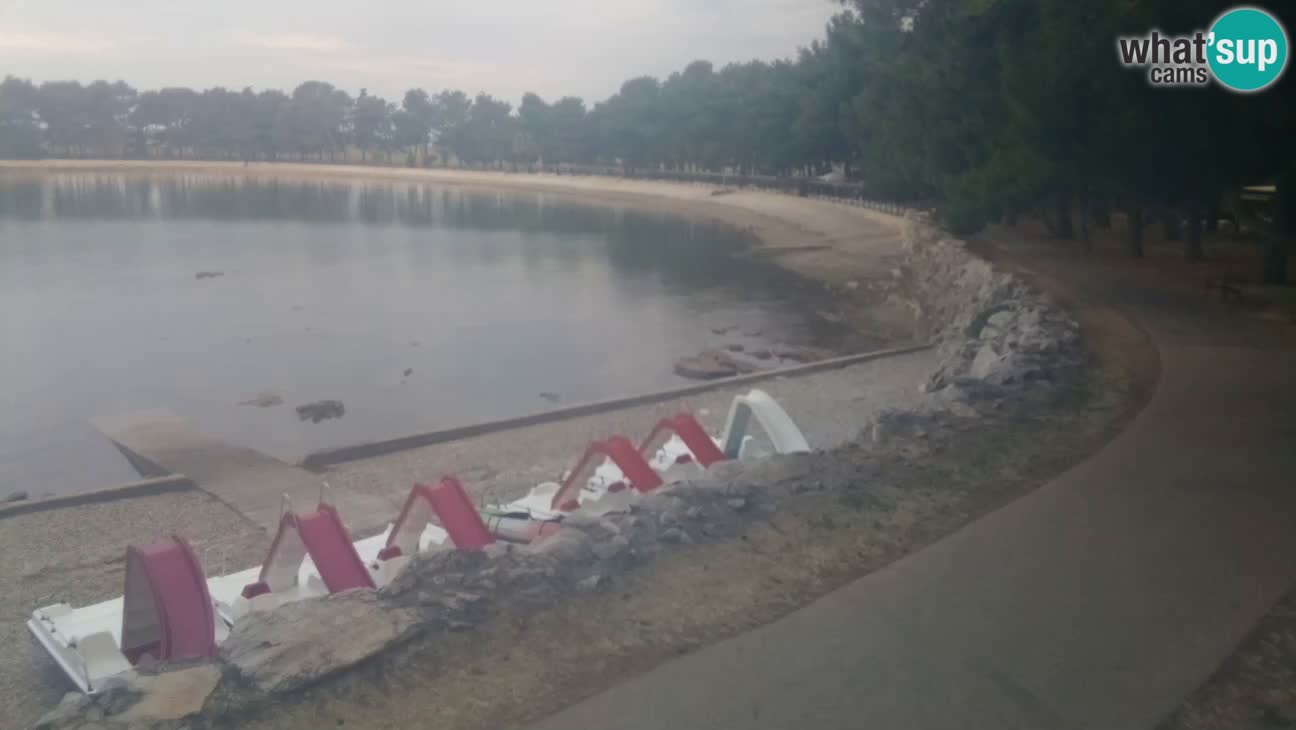 Novigrad – Playa Karpinjan