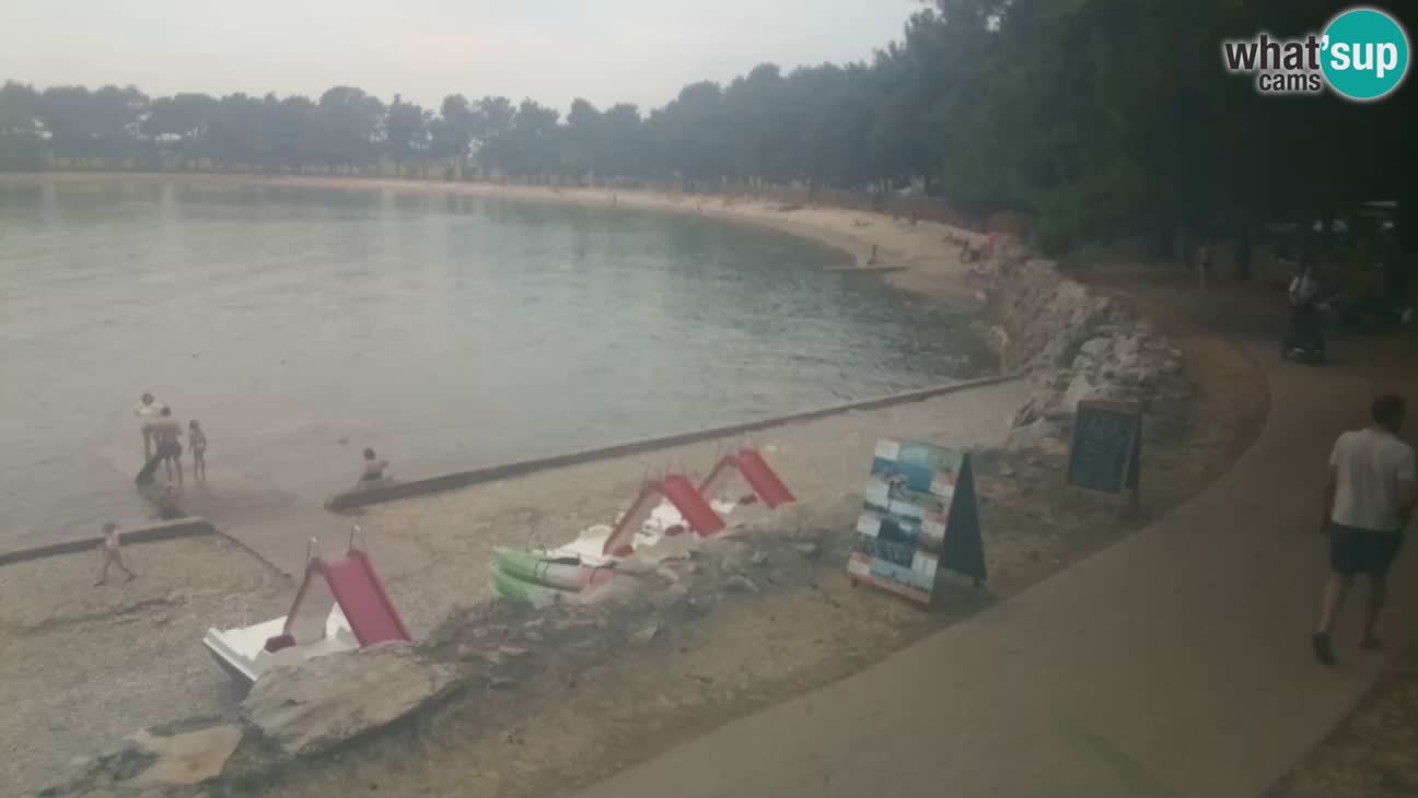 Novigrad live cam – Karpinjan beach