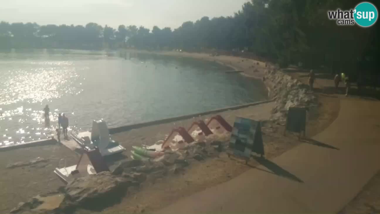 Novigrad live cam – Karpinjan beach