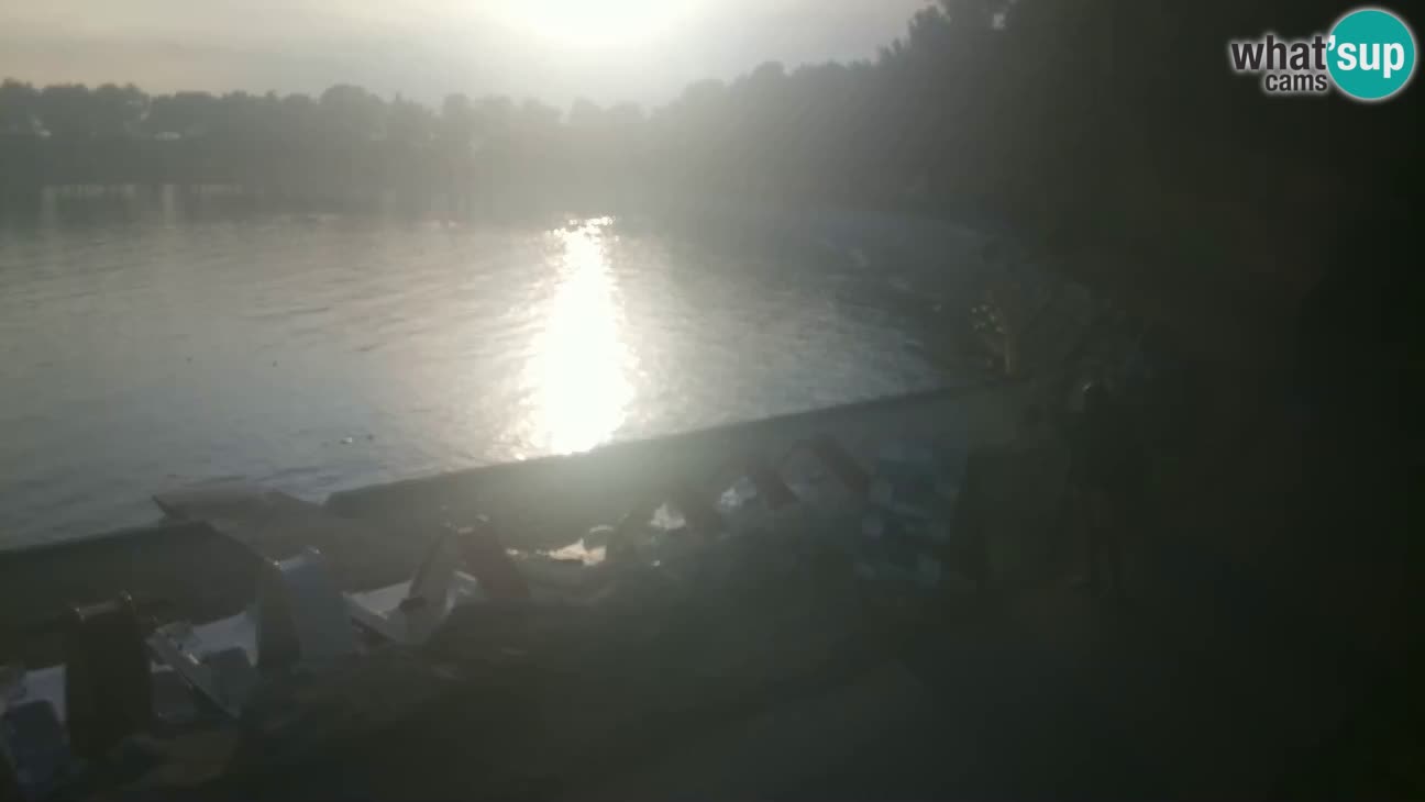 Novigrad live cam – Karpinjan beach