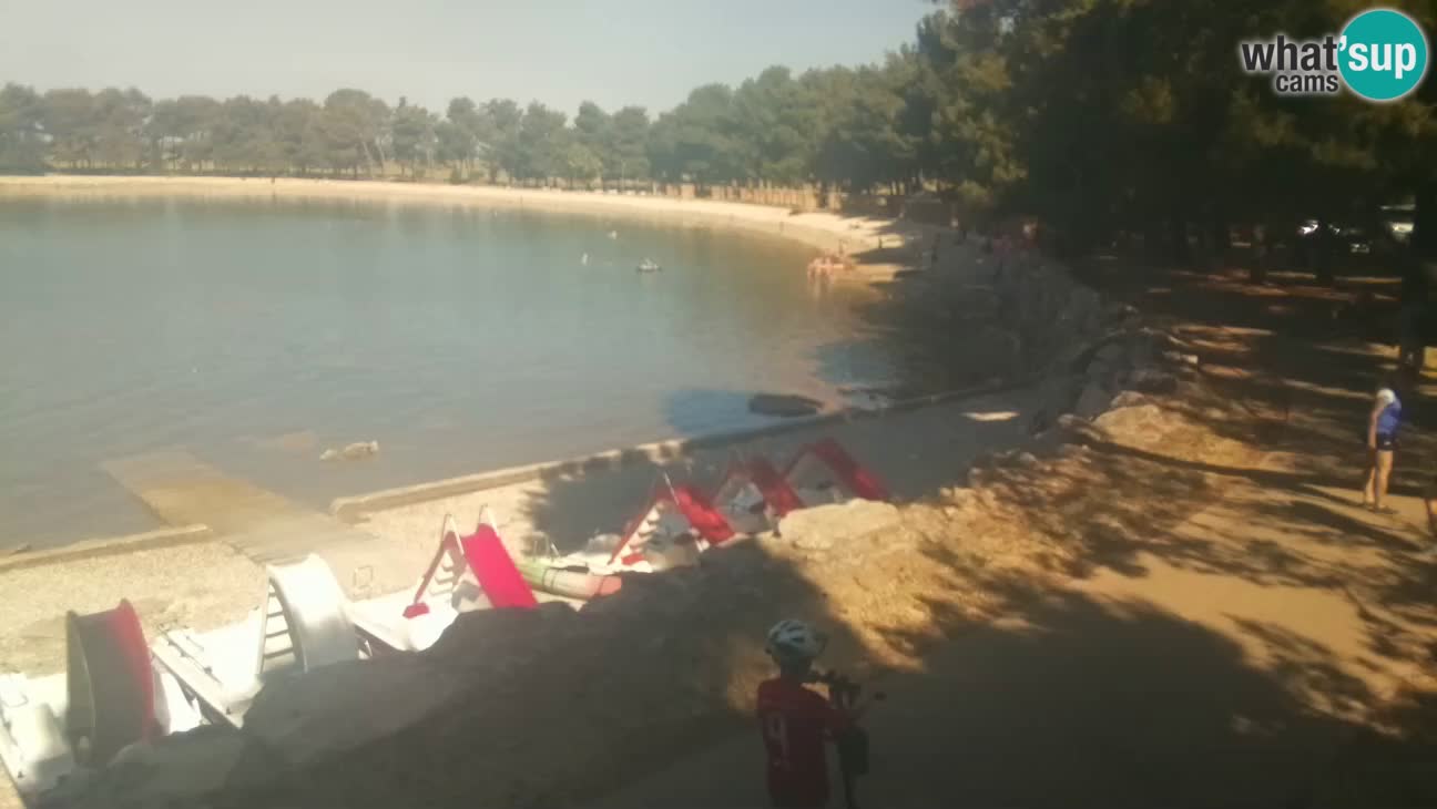Novigrad live cam – Karpinjan beach