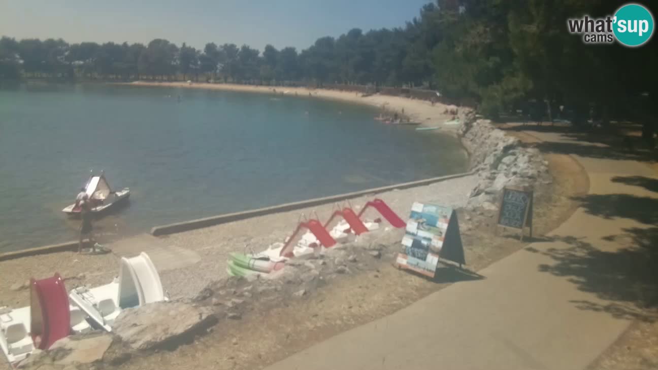 Novigrad live cam – Karpinjan beach
