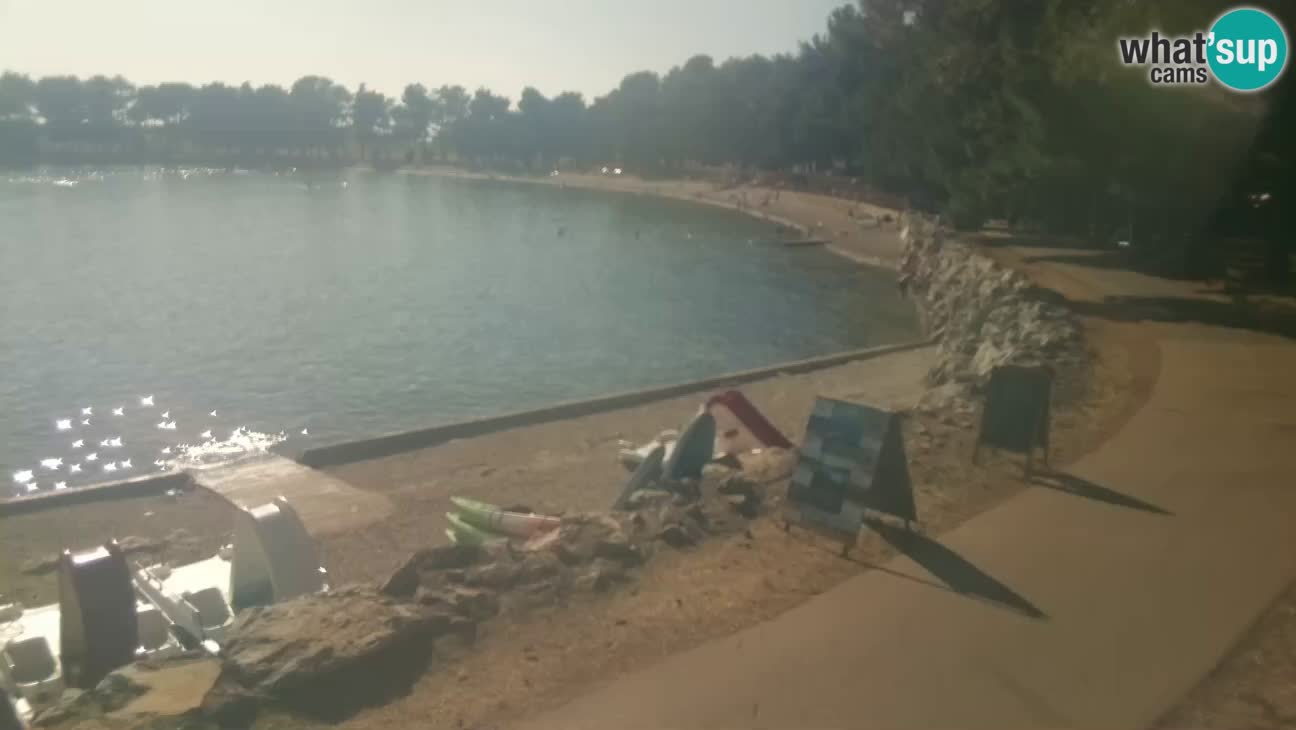 Novigrad – Strand Karpinjan webcam