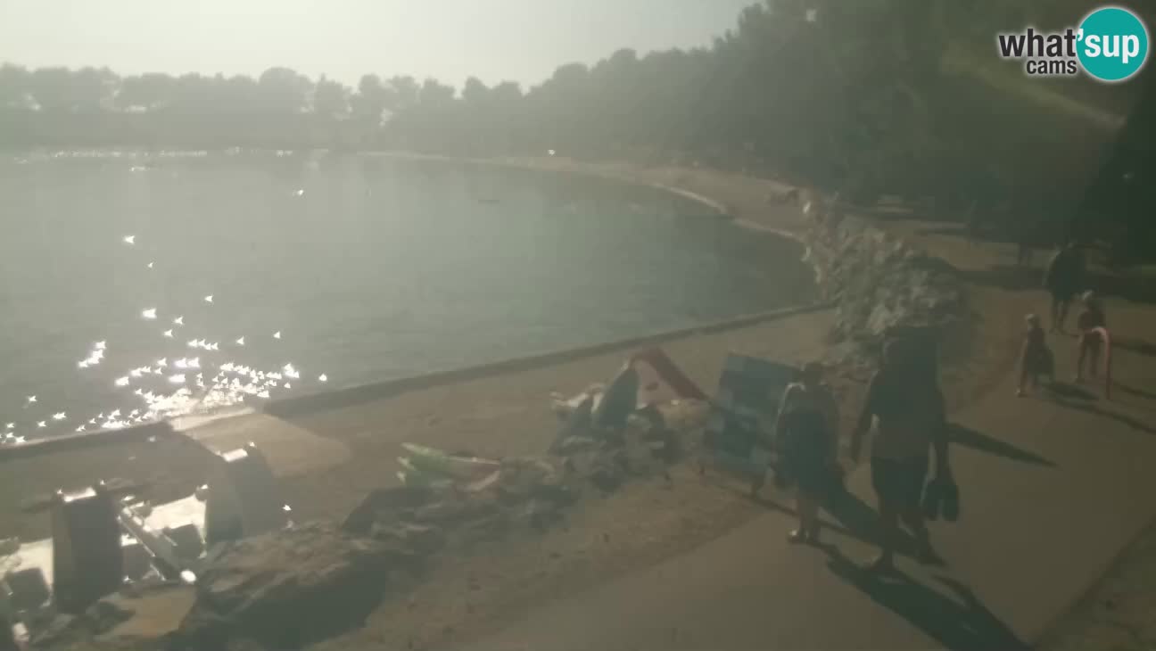 Novigrad – Strand Karpinjan webcam