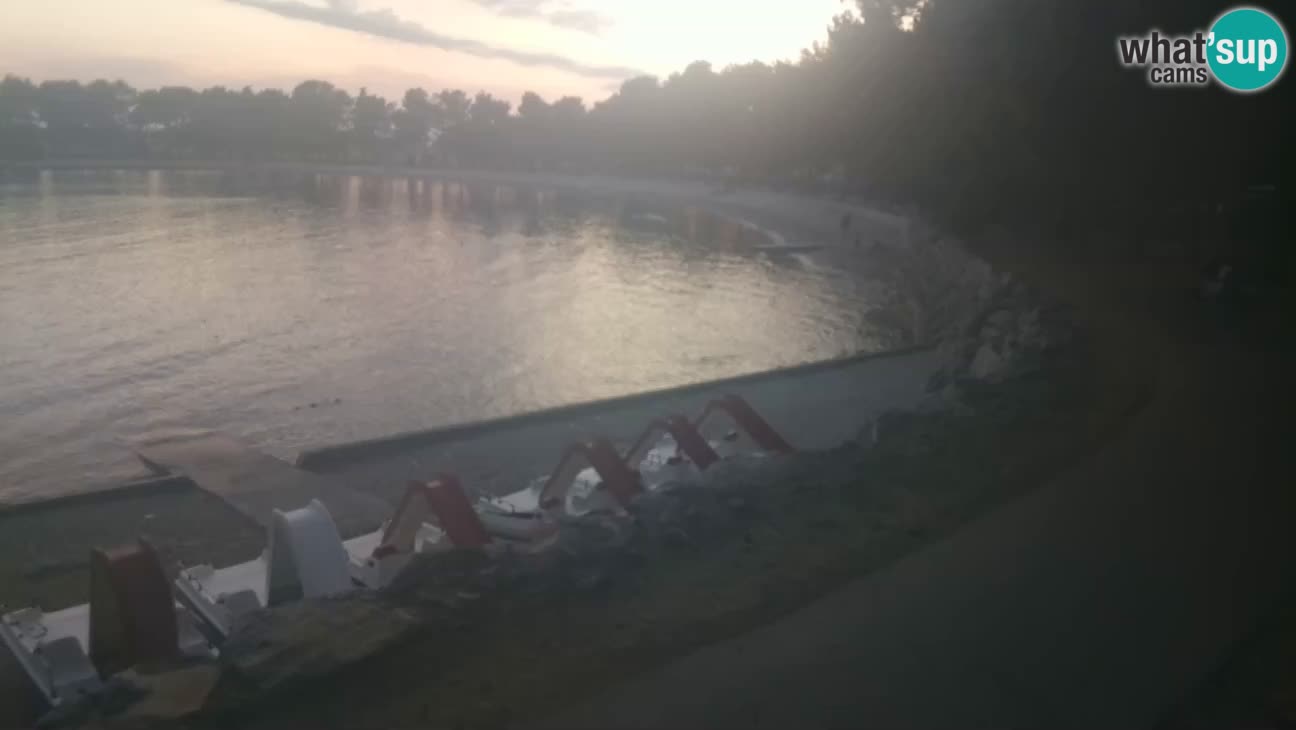 Novigrad live cam – Karpinjan beach