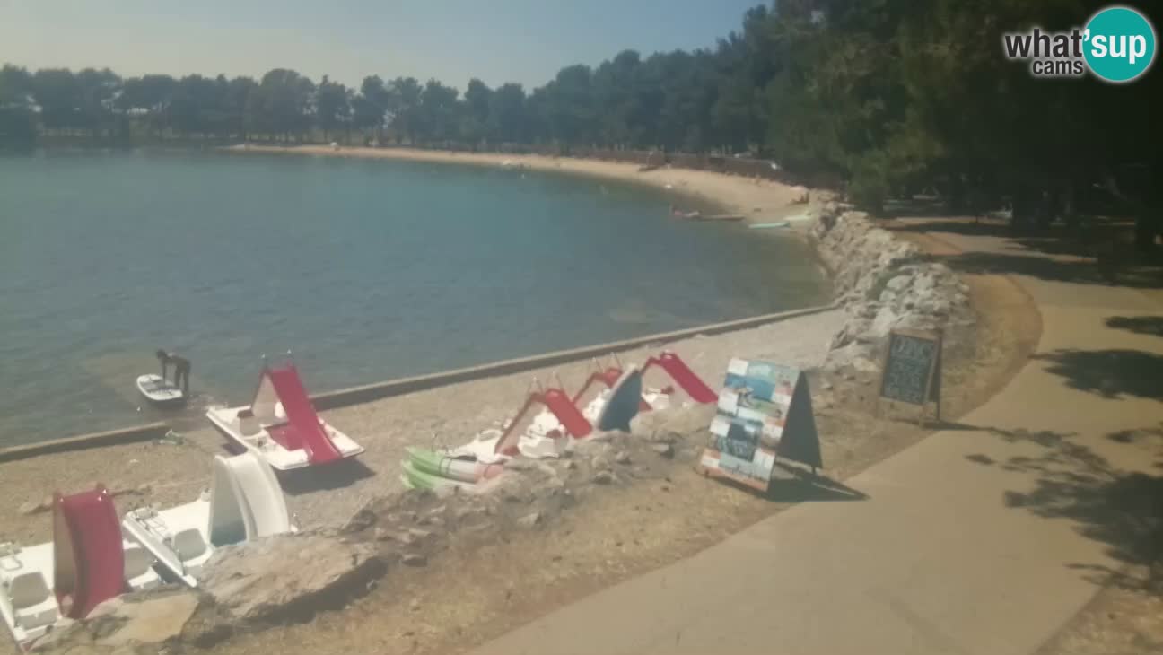 Novigrad – Strand Karpinjan webcam
