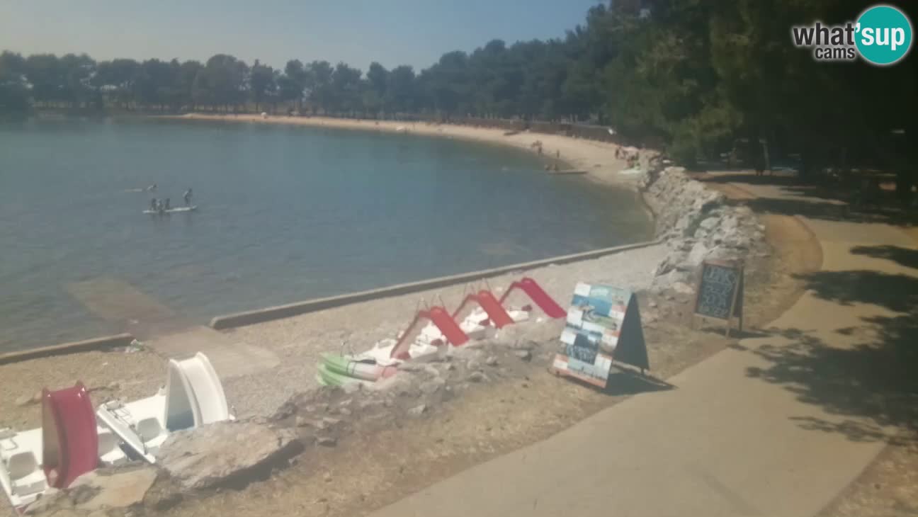 Novigrad – Strand Karpinjan webcam