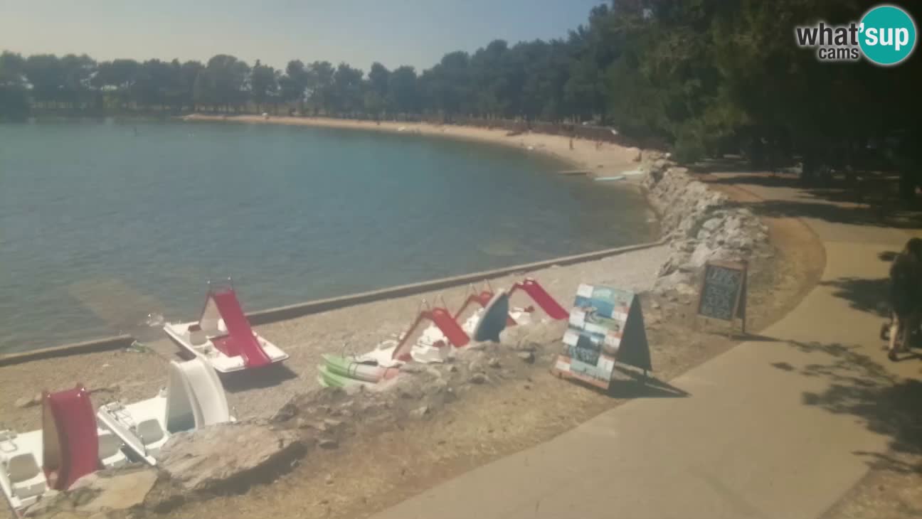 Novigrad live cam – Karpinjan beach