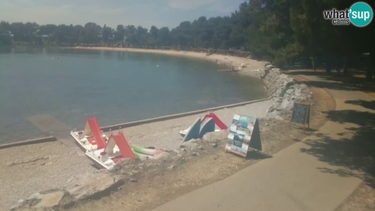 Novigrad – Strand Karpinjan webcam