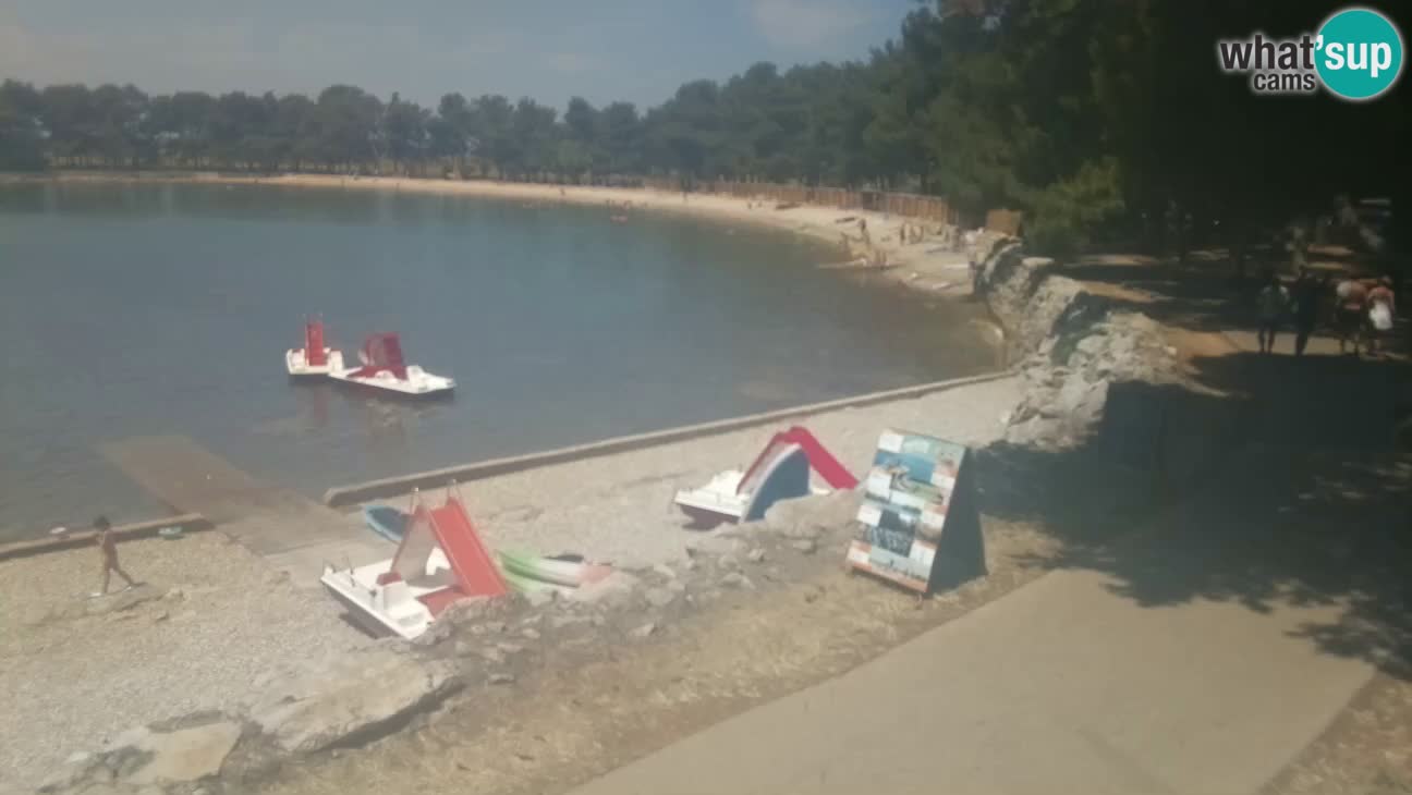 Novigrad – Playa Karpinjan