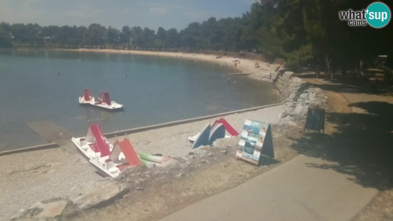 Novigrad live cam – Karpinjan beach