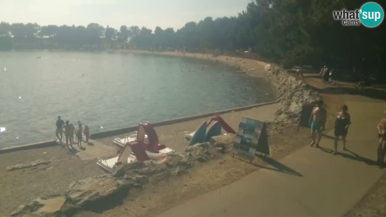 Novigrad – Playa Karpinjan