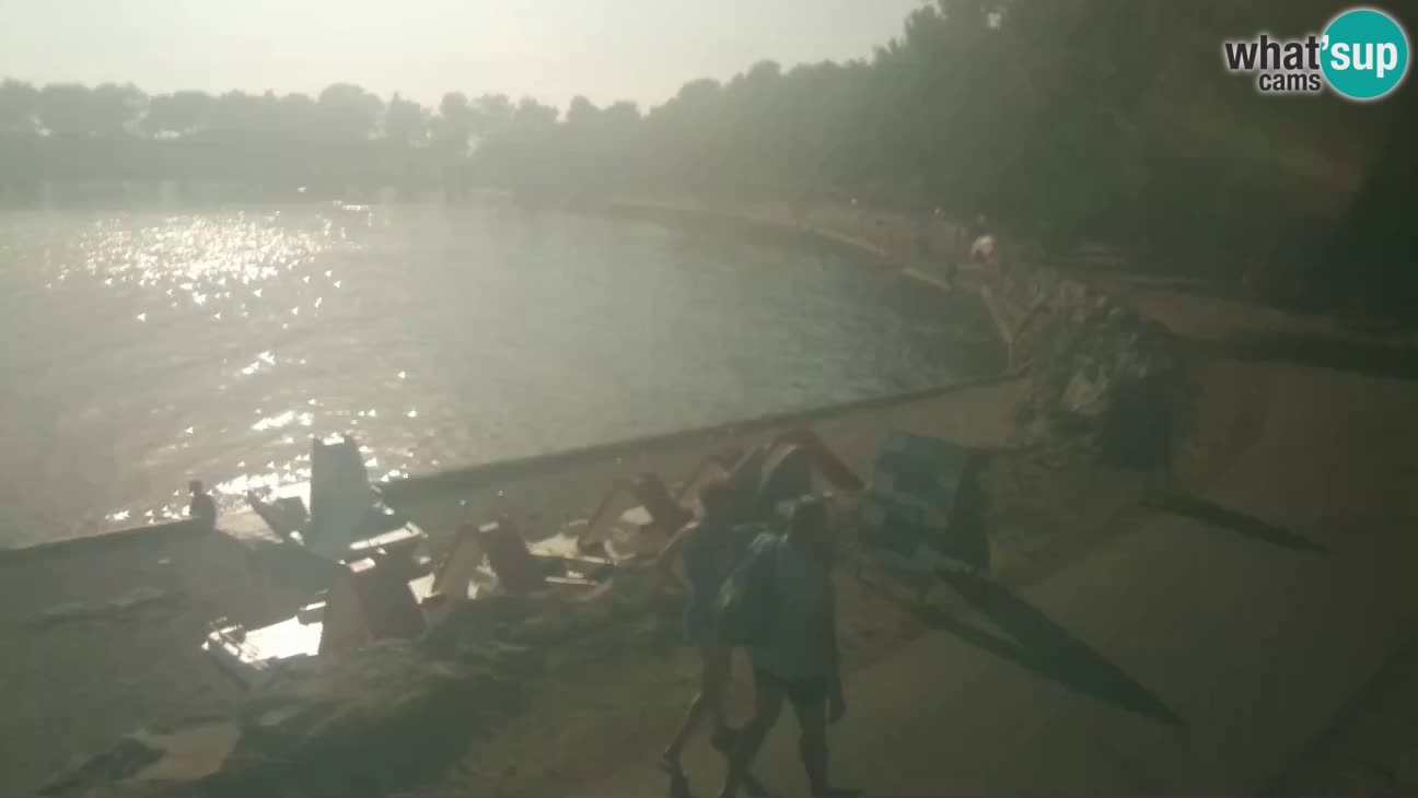Novigrad – Strand Karpinjan webcam