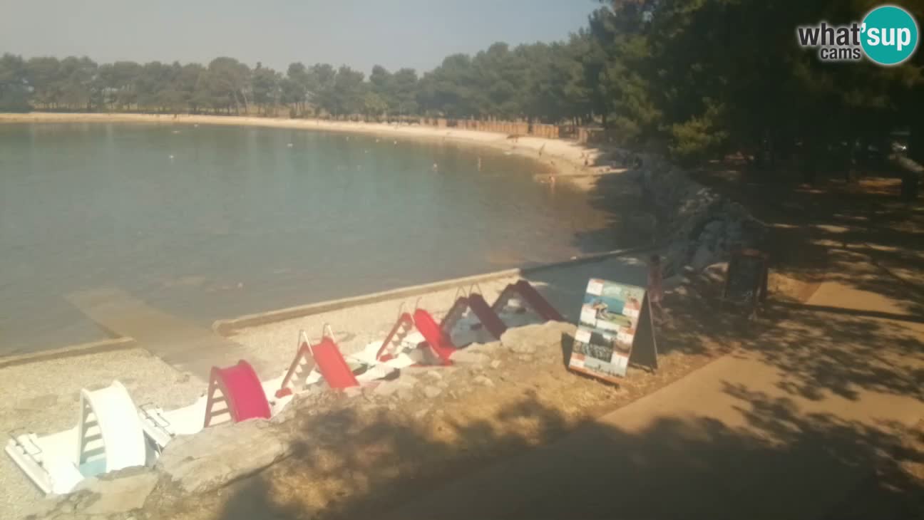 Novigrad live cam – Karpinjan beach