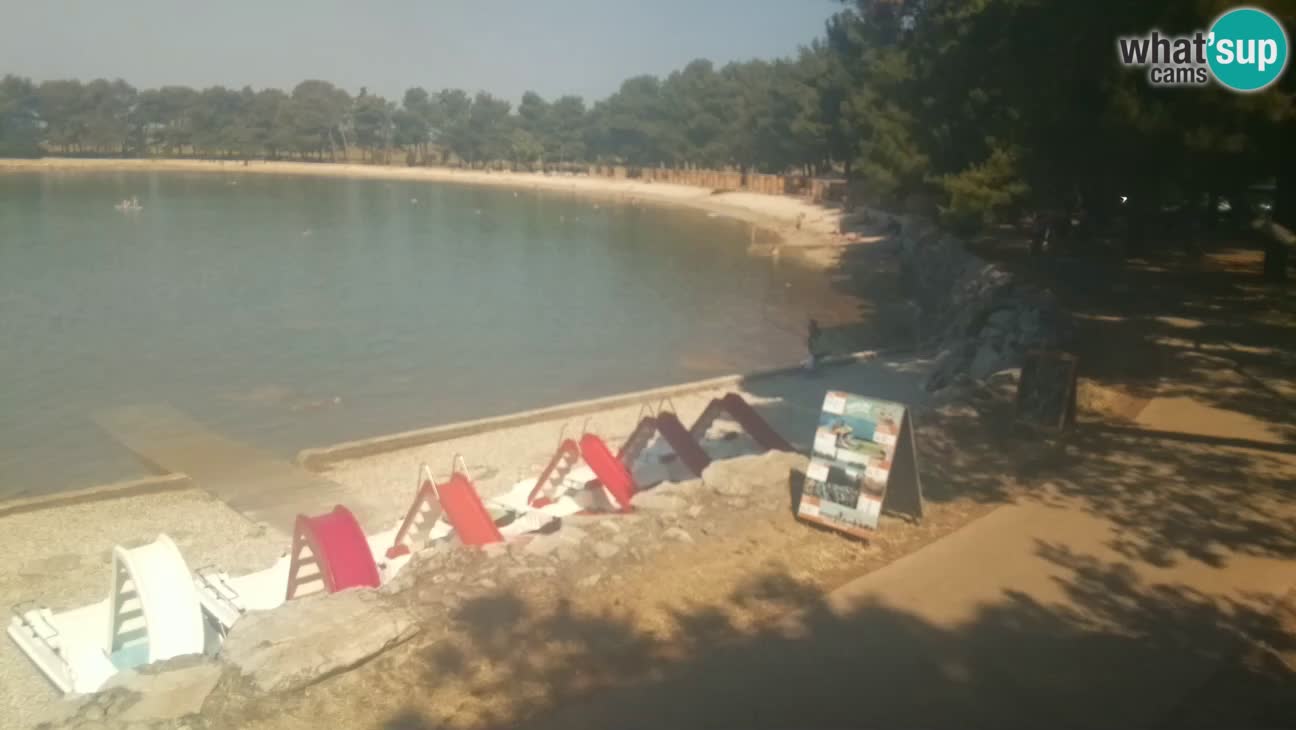 Novigrad live cam – Karpinjan beach