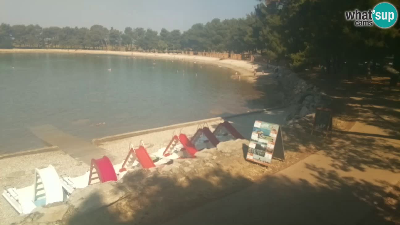 Novigrad – Strand Karpinjan webcam