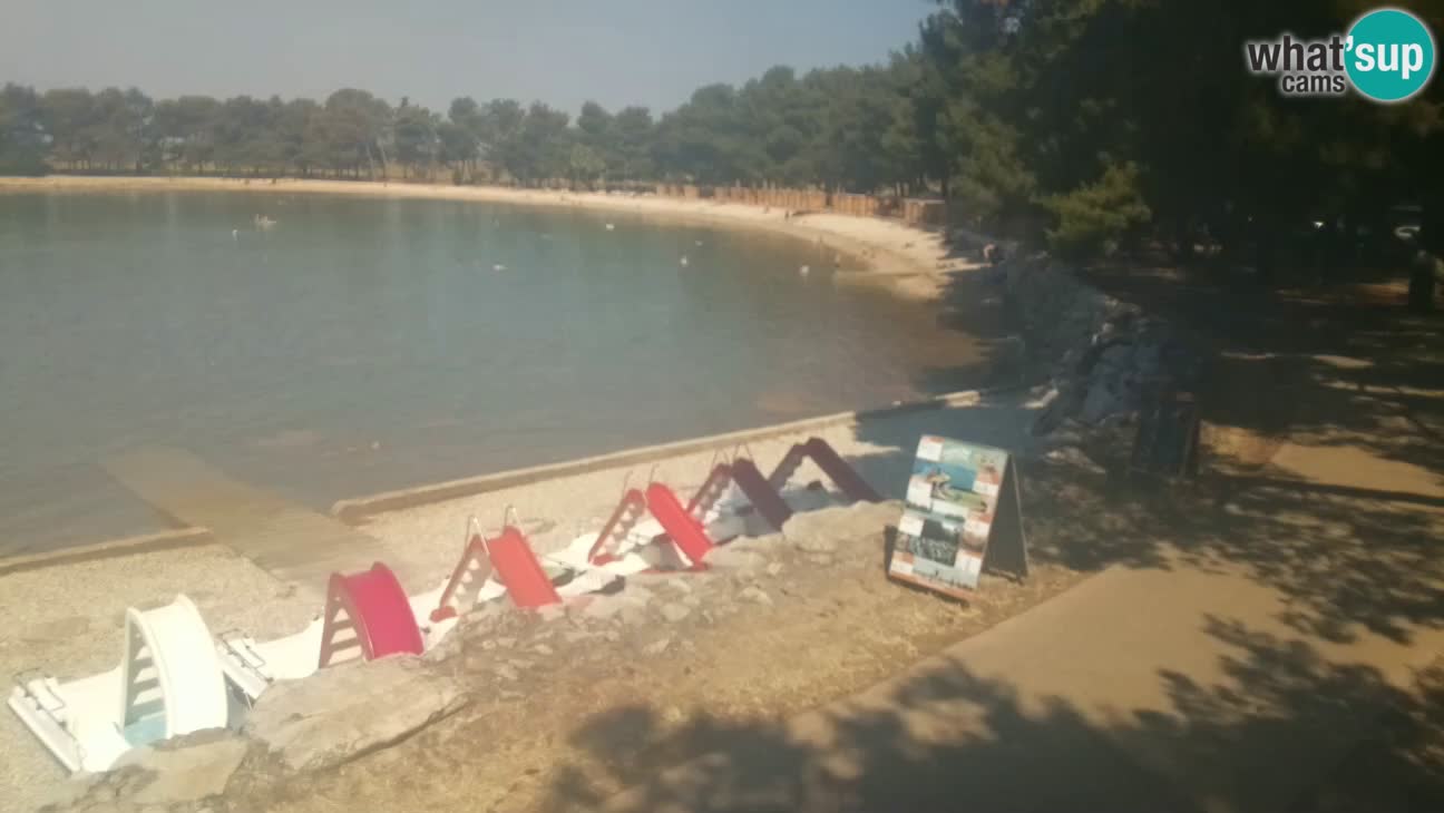 Novigrad – Playa Karpinjan