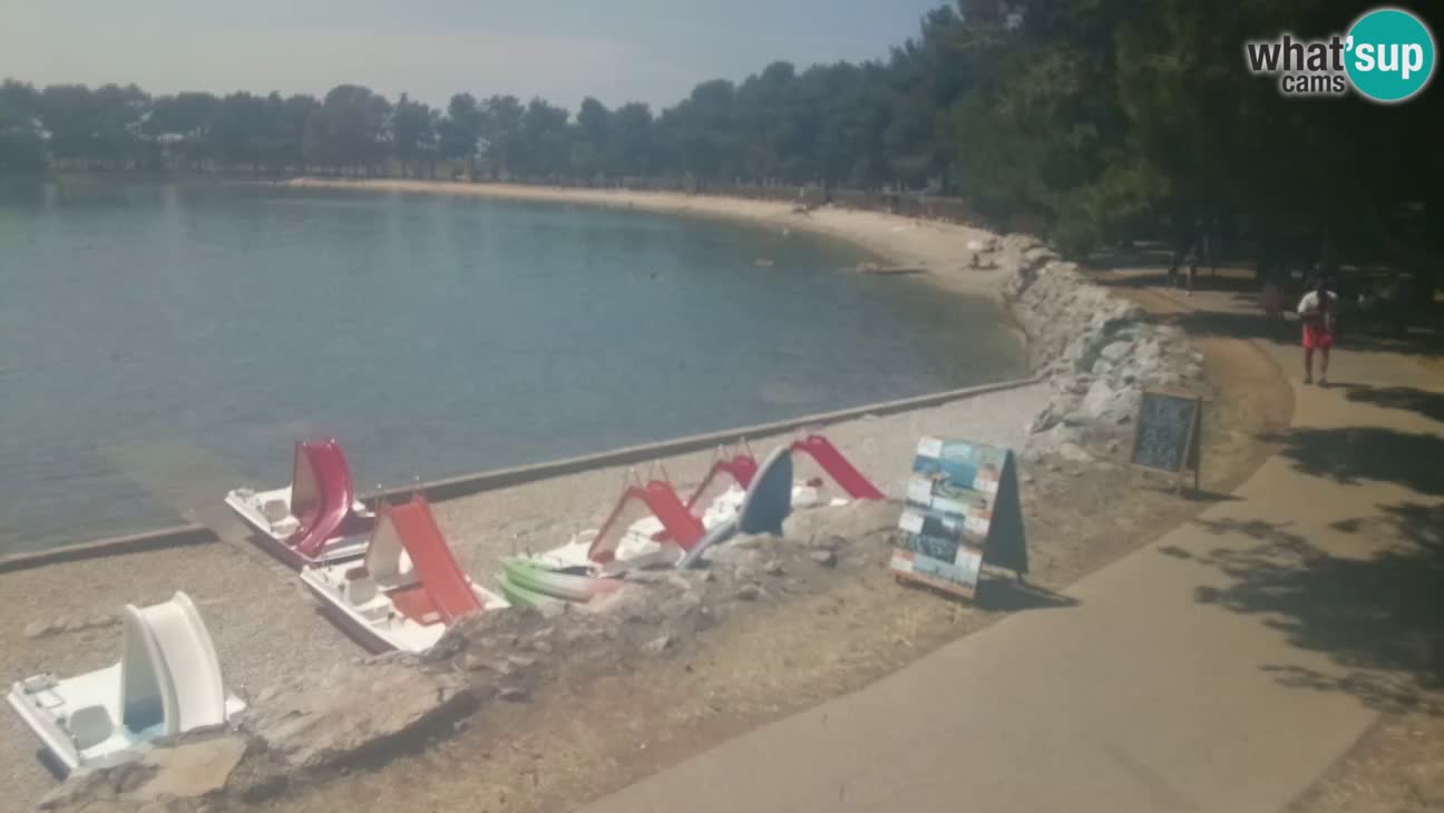 Novigrad – Plage Karpinjan