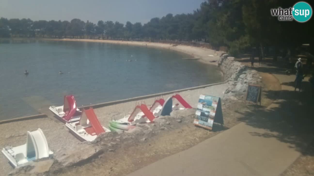 Novigrad – Strand Karpinjan webcam