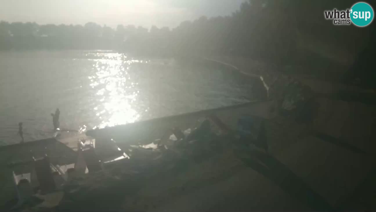 Novigrad live cam – Karpinjan beach