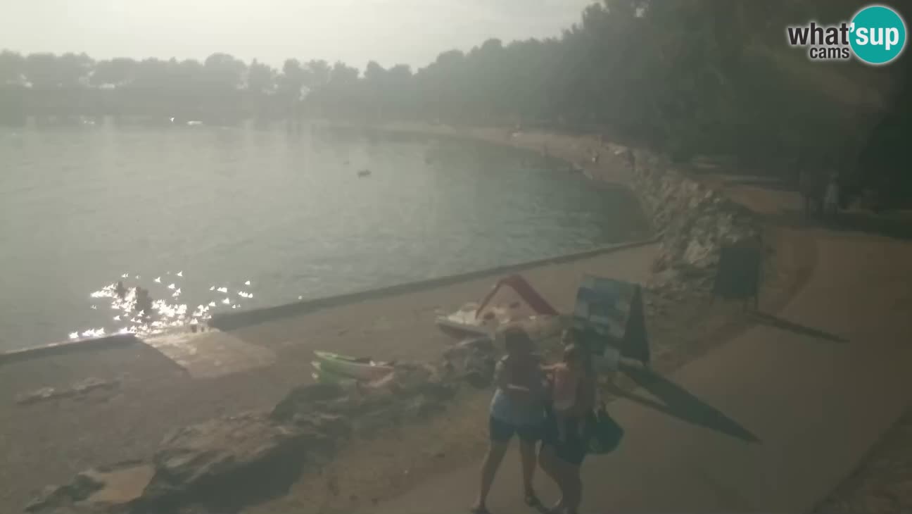 Novigrad live cam – Karpinjan beach