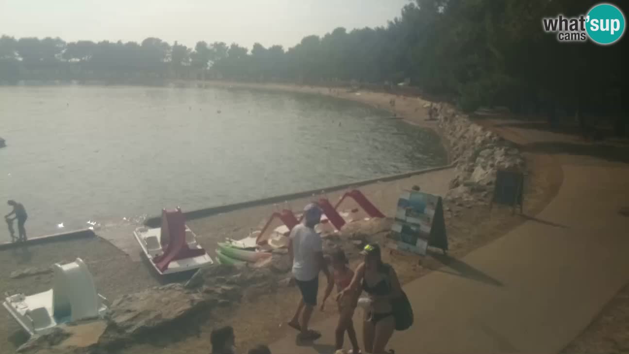 Novigrad live cam – Karpinjan beach