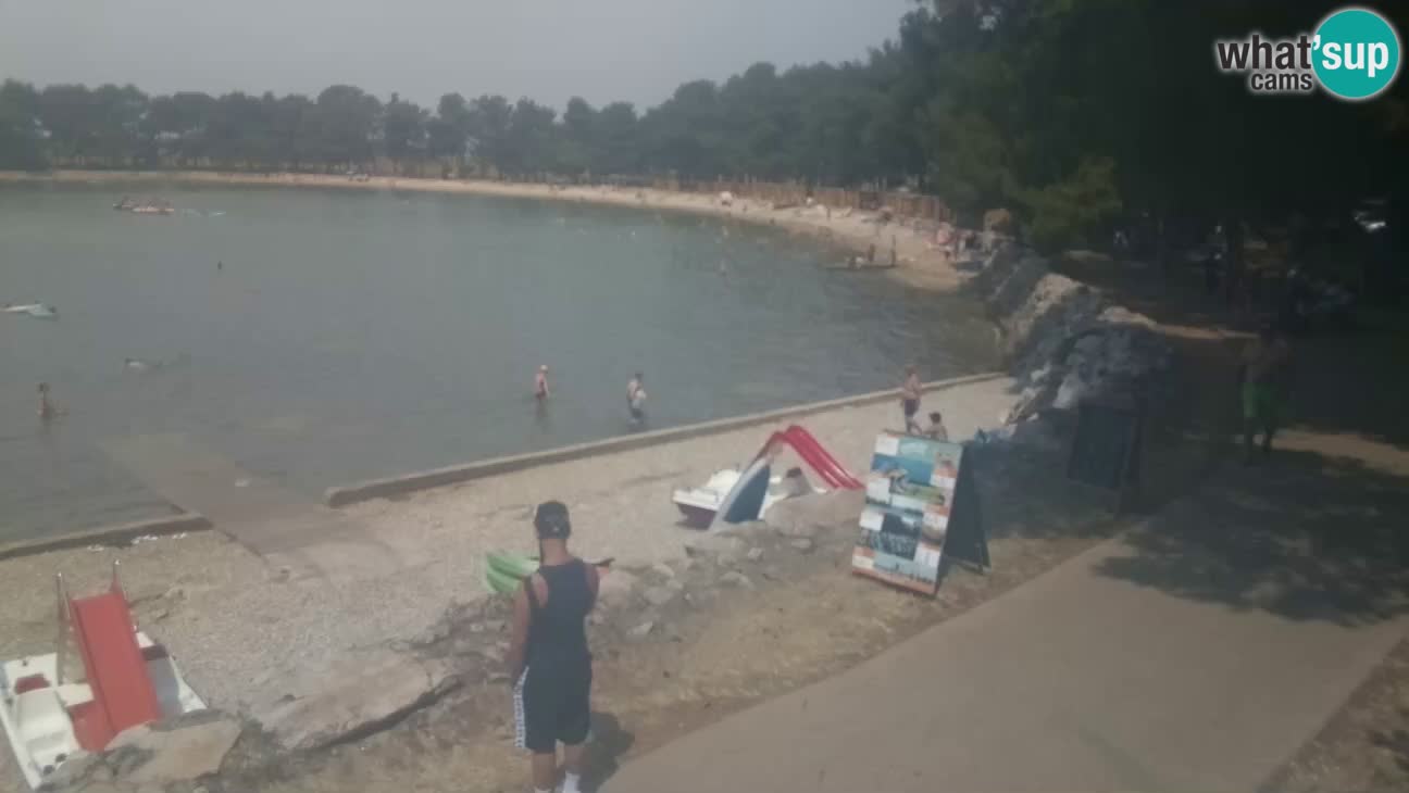 Novigrad live cam – Karpinjan beach