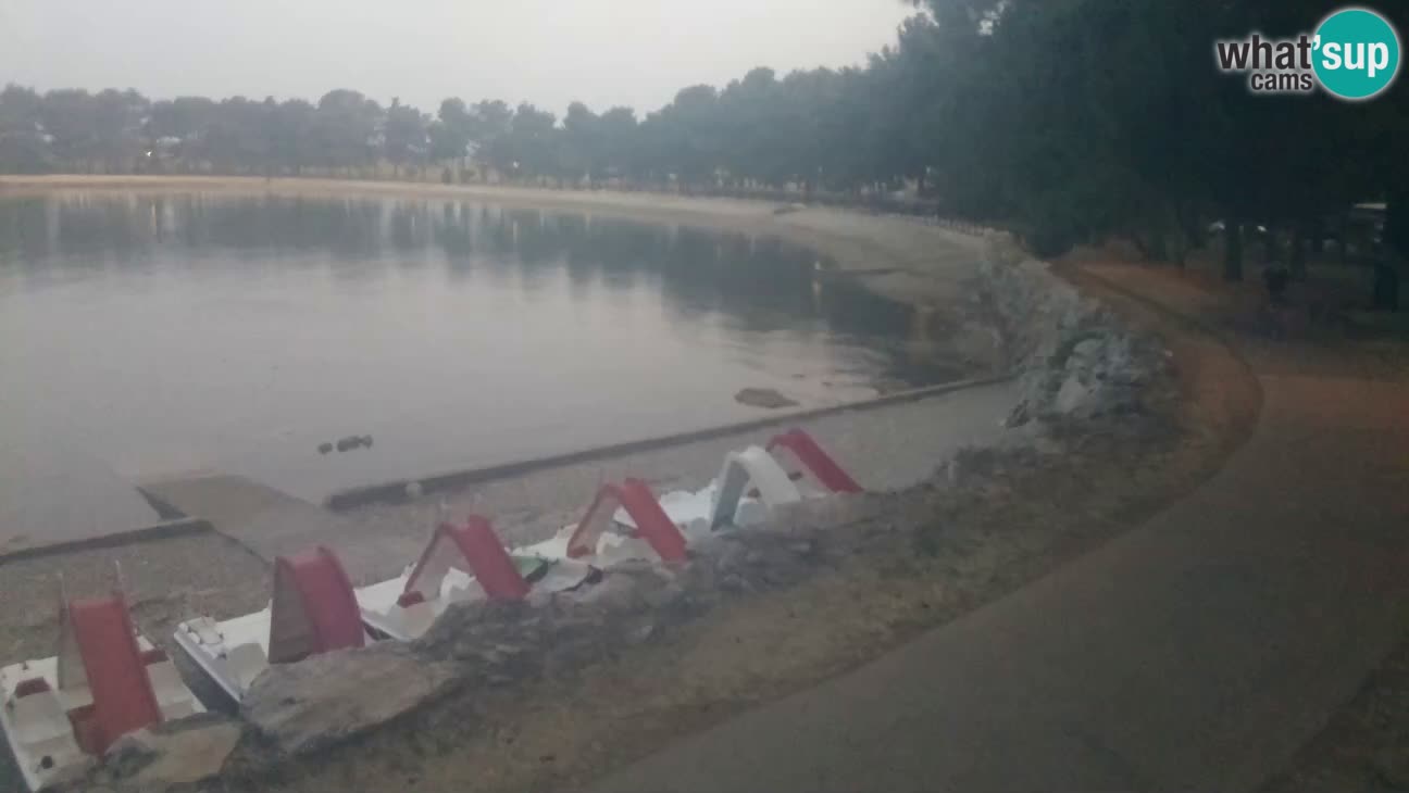 Novigrad – Strand Karpinjan webcam