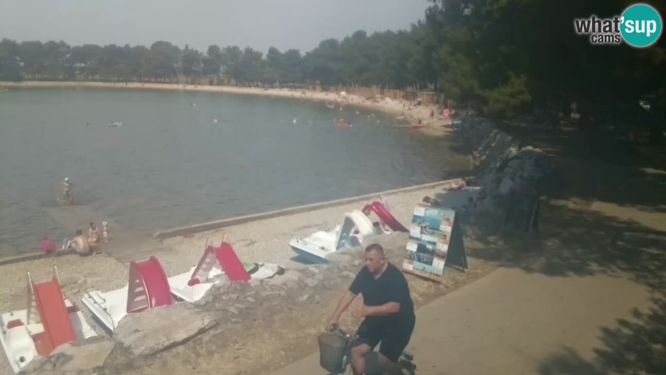 Novigrad live cam – Karpinjan beach