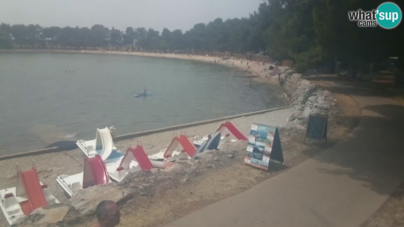 Novigrad – Strand Karpinjan webcam