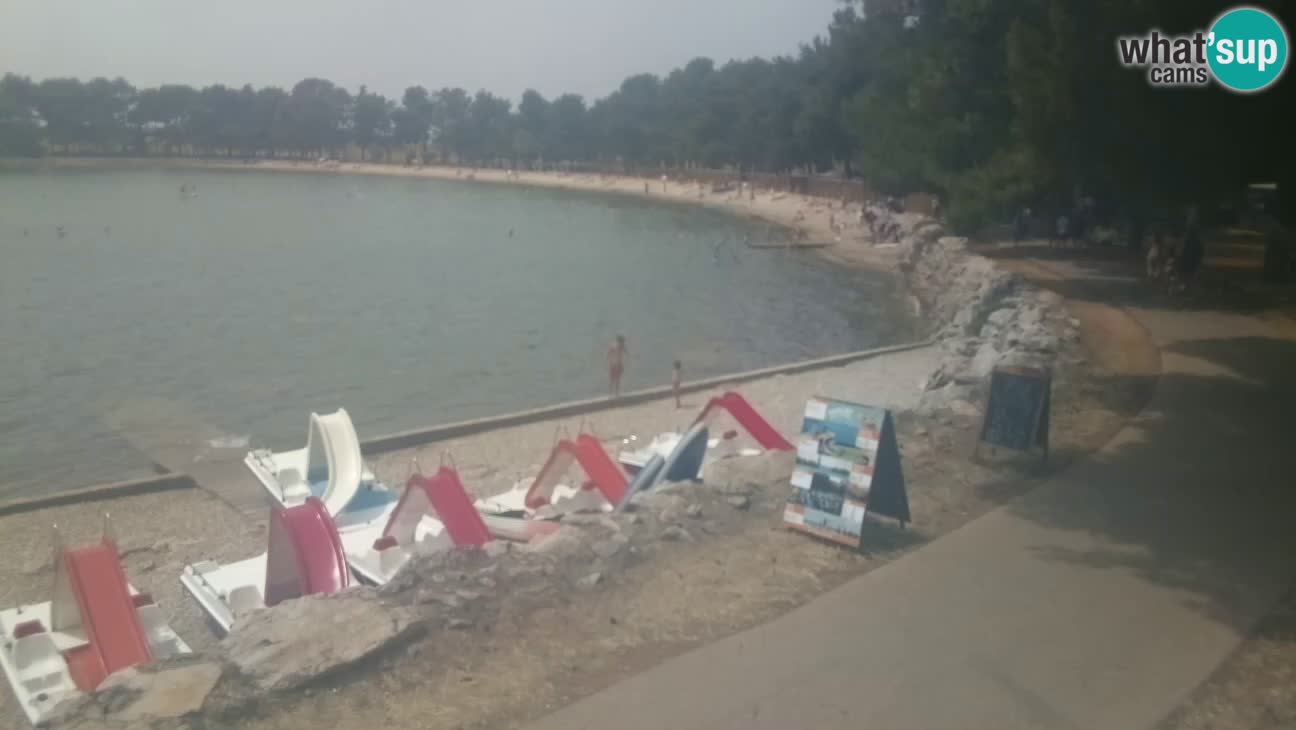Novigrad – Strand Karpinjan webcam