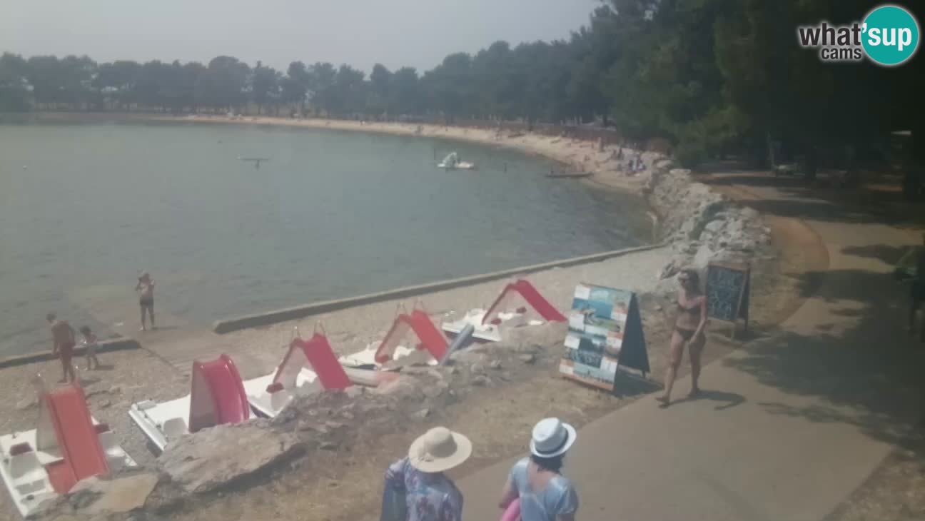 Novigrad – Strand Karpinjan webcam