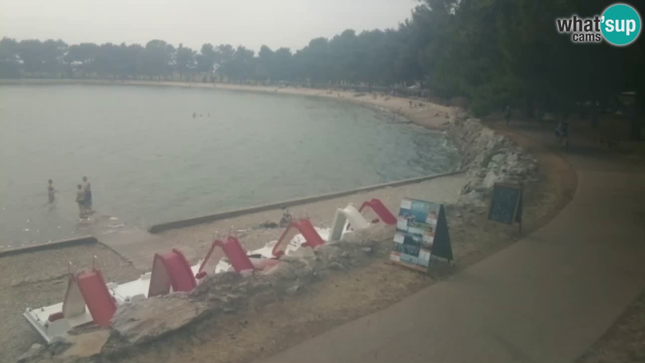 Novigrad live cam – Karpinjan beach