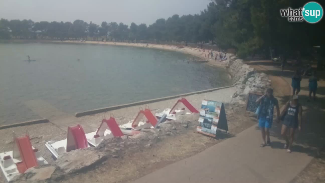 Novigrad – Playa Karpinjan