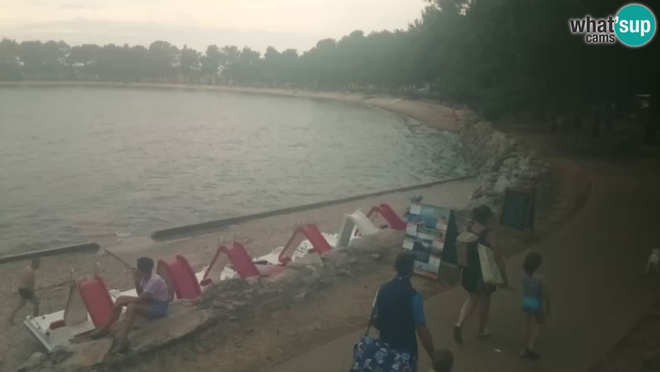 Novigrad – Playa Karpinjan