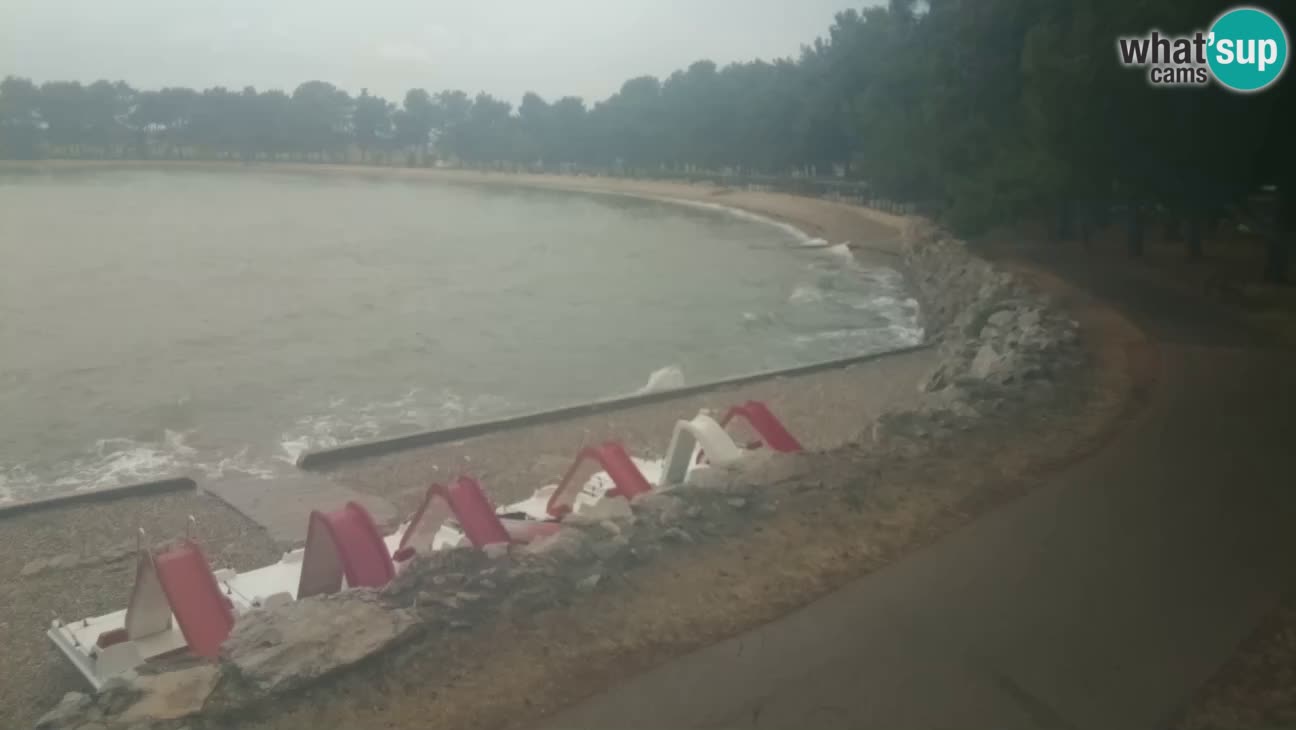 Novigrad – Plaža Karpinjan