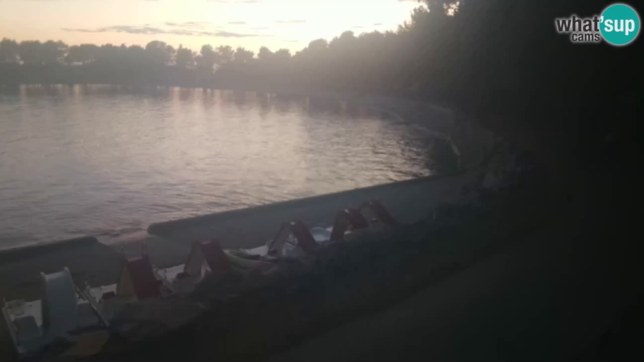 Novigrad live cam – Karpinjan beach