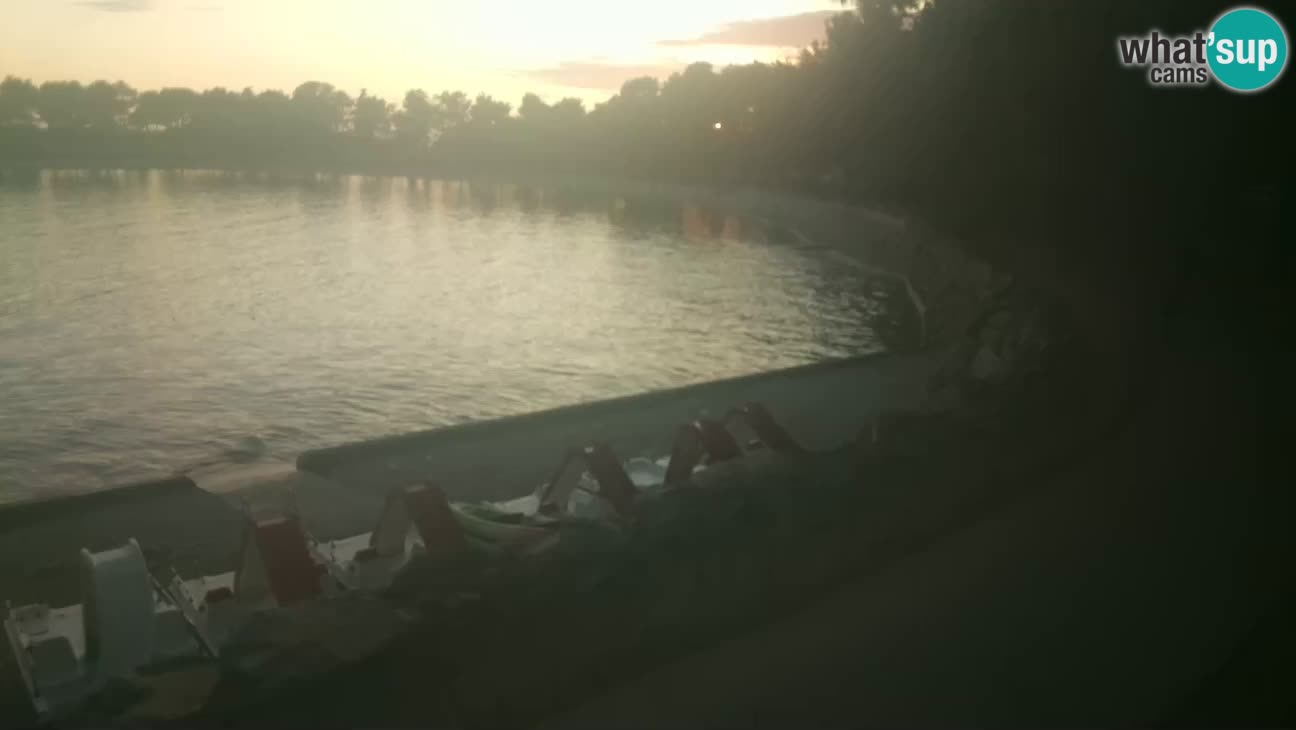 Novigrad live cam – Karpinjan beach