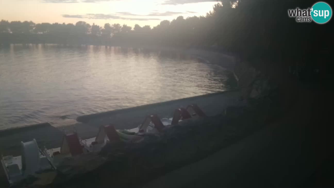 Novigrad – Playa Karpinjan