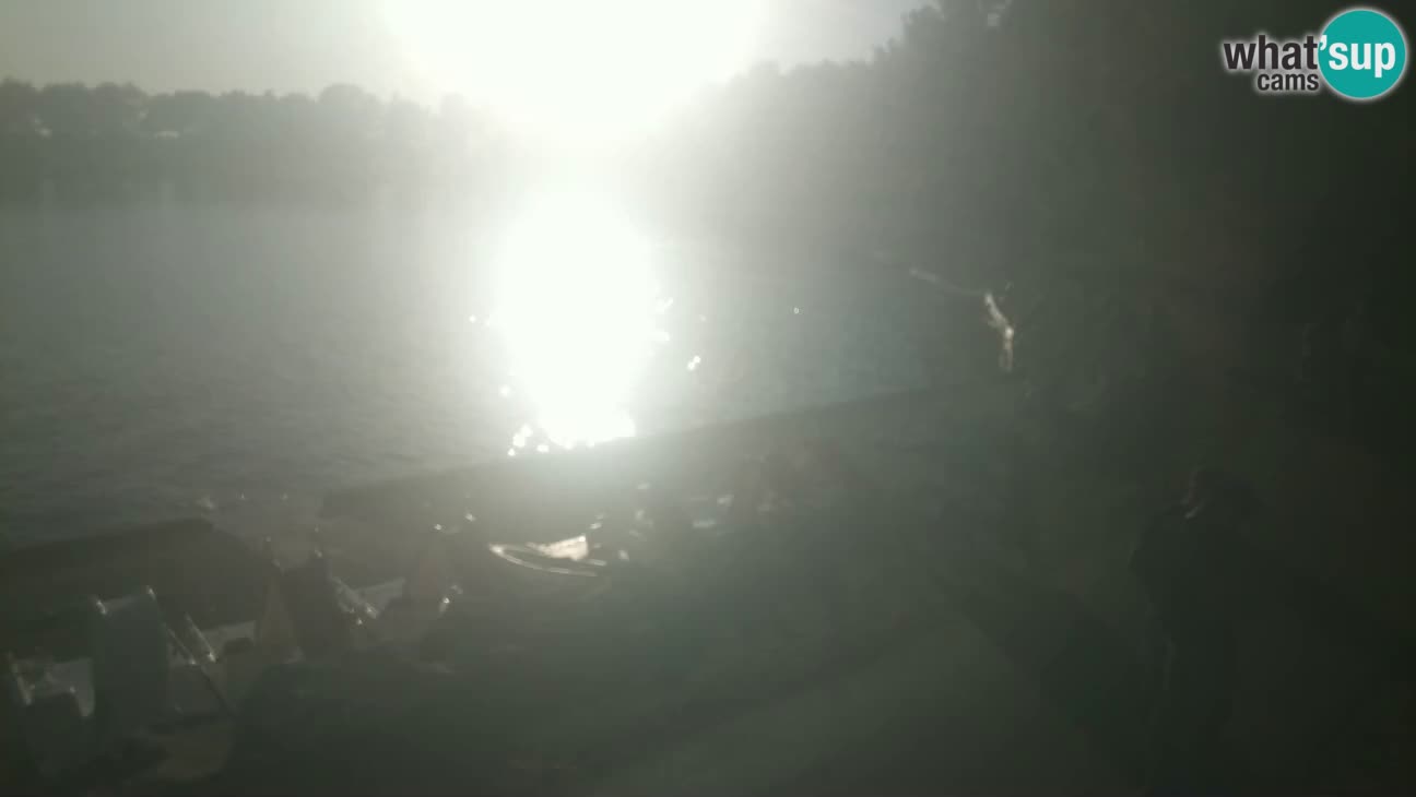 Novigrad – Plaža Karpinjan