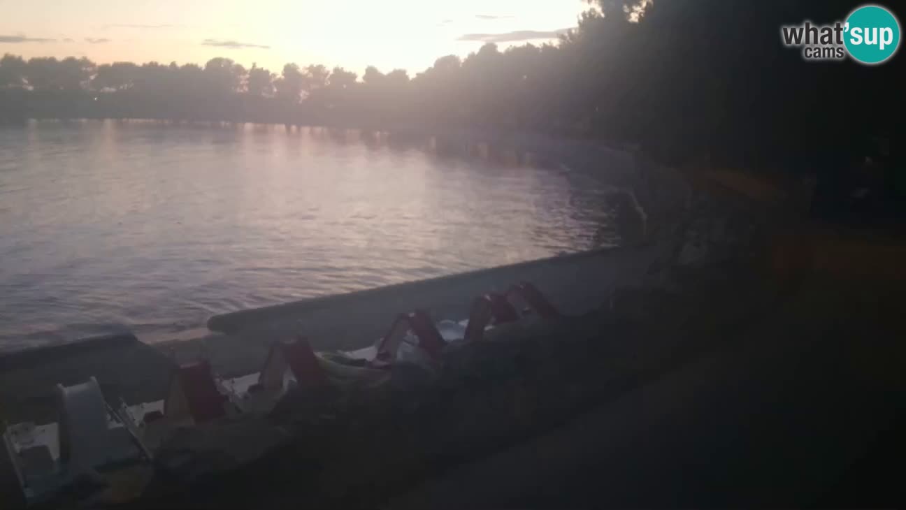 Novigrad – Playa Karpinjan