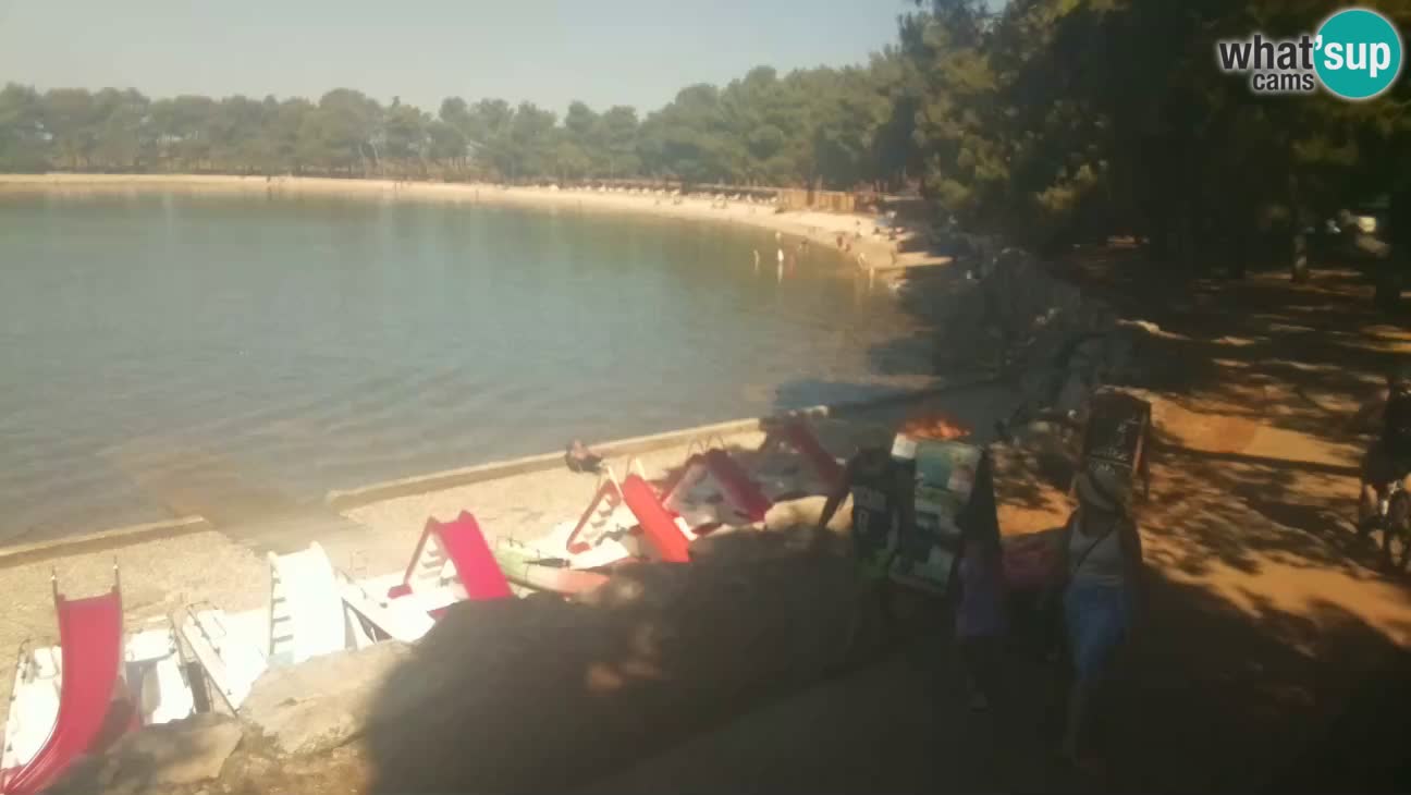 Novigrad – Plaža Karpinjan