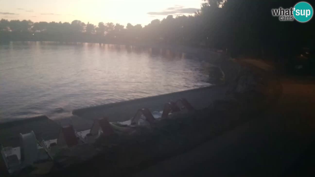 Novigrad – Playa Karpinjan