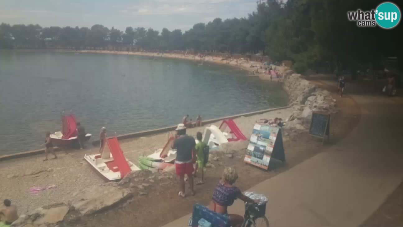 Novigrad live cam – Karpinjan beach