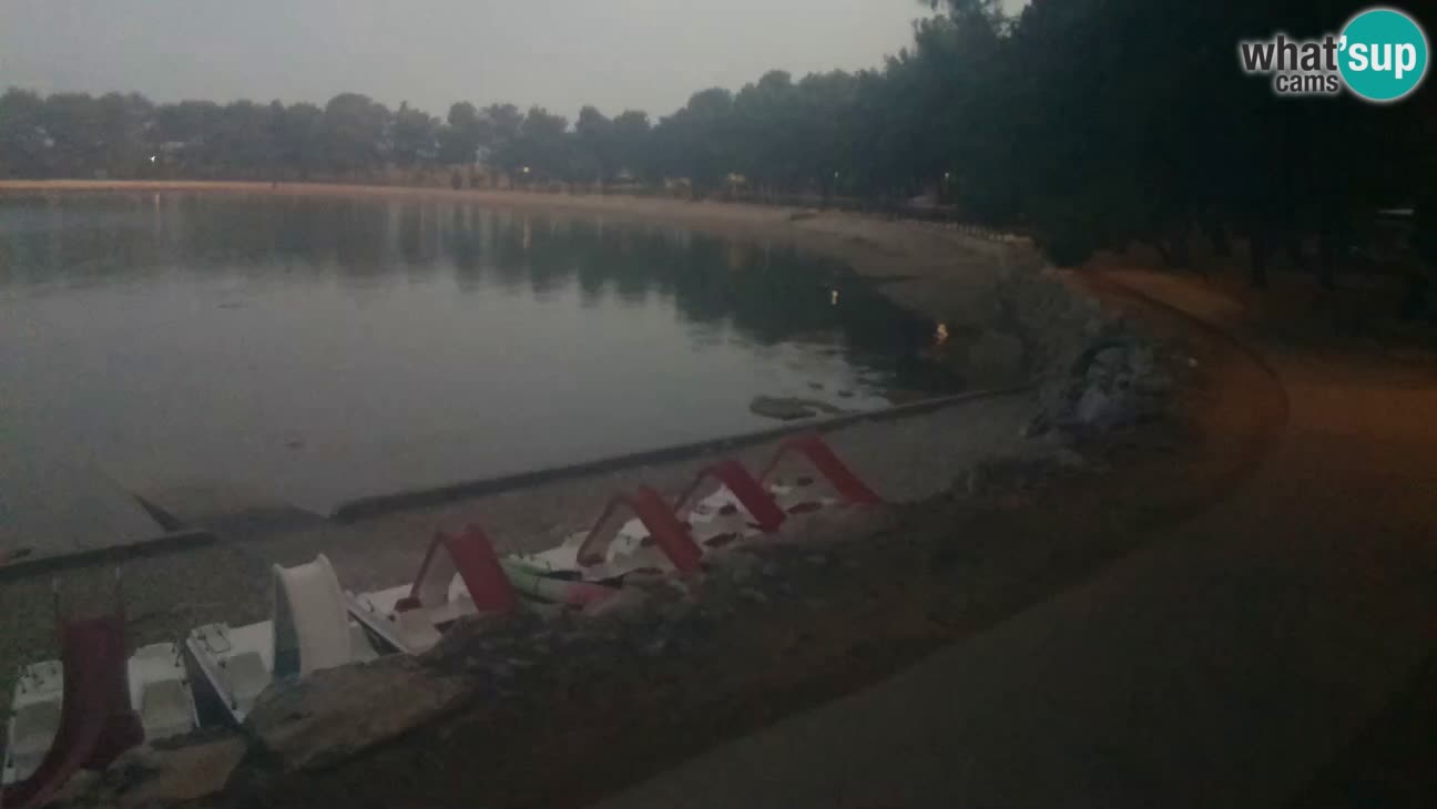 Novigrad live cam – Karpinjan beach