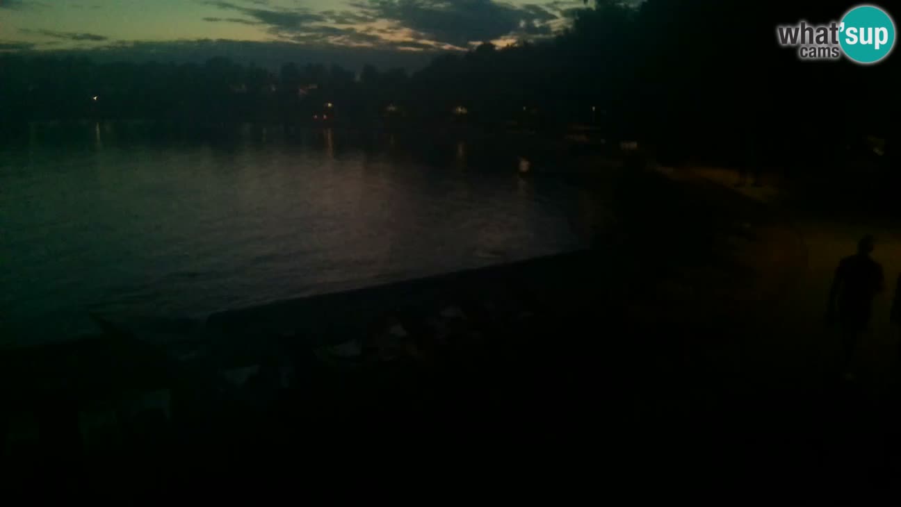 Novigrad live cam – Karpinjan beach