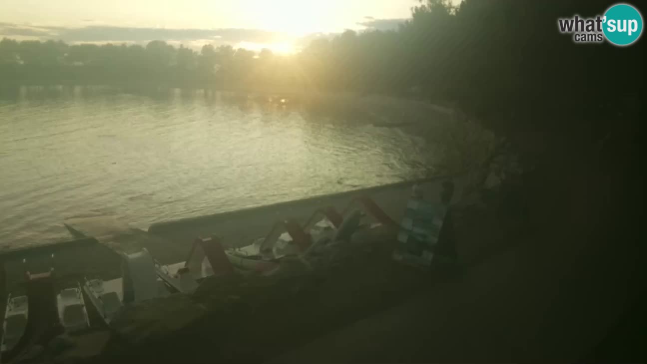 Novigrad live cam – Karpinjan beach